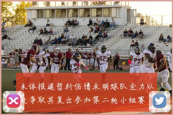 米体报道哲科伤情未明球队全力以赴争取其复出参加第二轮小组赛